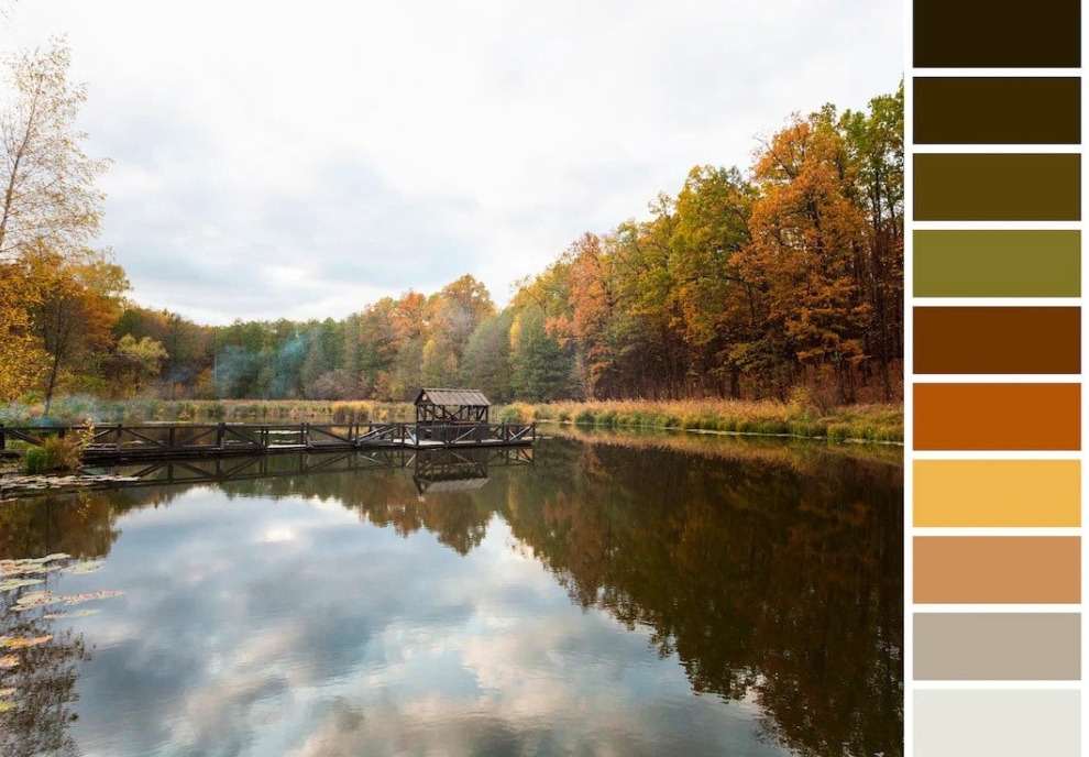 Откъде дизайнерите черпят вдъхновение  за цветовете в интериора